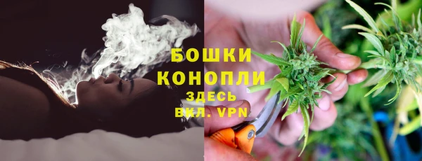 ГАЛЛЮЦИНОГЕННЫЕ ГРИБЫ Новокубанск