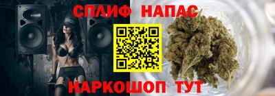 прущие грибы Бийск