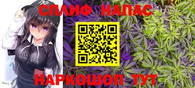 прущие грибы Бийск