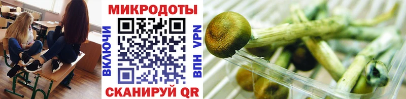 Галлюциногенные грибы Cubensis Сорочинск