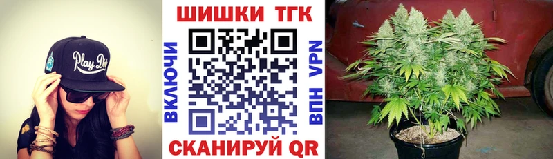 закладка  Сорочинск  Бошки Шишки гибрид 